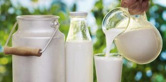 Sữa là sản phẩm tốt cho các mẹ bầu trong 3 tháng đầu thai kỳ